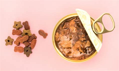 wet food 11 darkko|Arabelle Raphael Toplines Jonni Darkko's Latest 'Wet Food'.